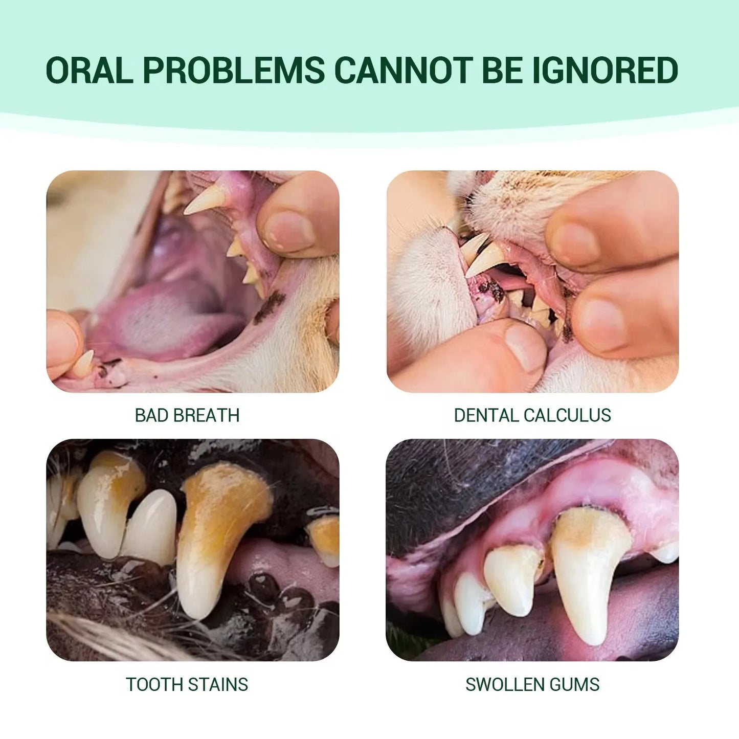 Pet Oral Cleaning Gel Bad Breath Tartar Eliminator Plaque Removal Oral Tooth Stain Deodorant Whiten Teeth Cat Teeth Repair Gel