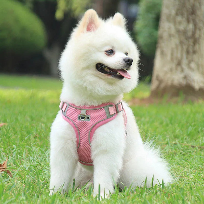 Dog Harness Clothes Vest for Small Medium Dogs Harness Leash Set Puppy Chest Strap Chihuahua Bulldog Walking Straps Pet Supplies
