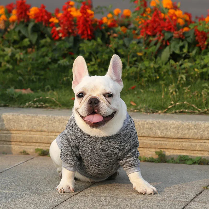 Dog Sweaters for Small Medium Dogs Cats Clothes Winter Warm Pet Turtleneck Chihuahua Vest Soft Yorkie Coat Teddy Jacket Sweaters