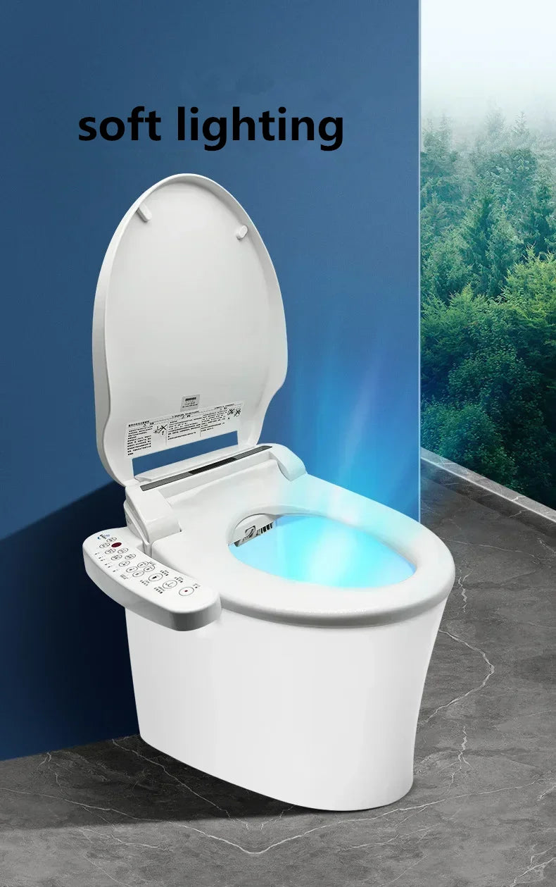 Fully Automatic Intelligent Toilet Cover Universal 110V American Standard Heating 220V