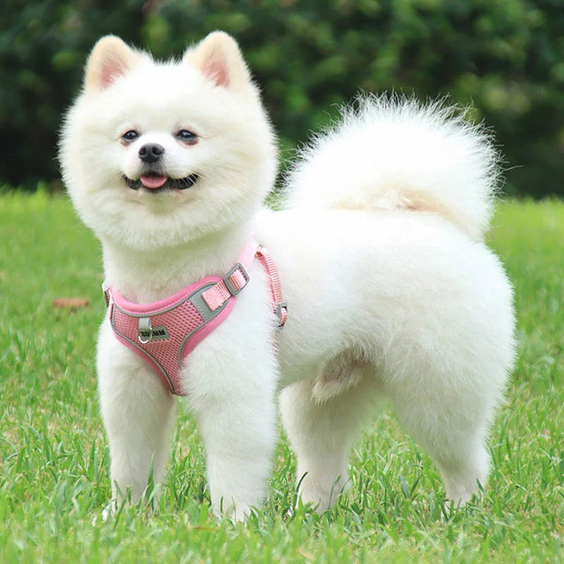Dog Harness Clothes Vest for Small Medium Dogs Harness Leash Set Puppy Chest Strap Chihuahua Bulldog Walking Straps Pet Supplies