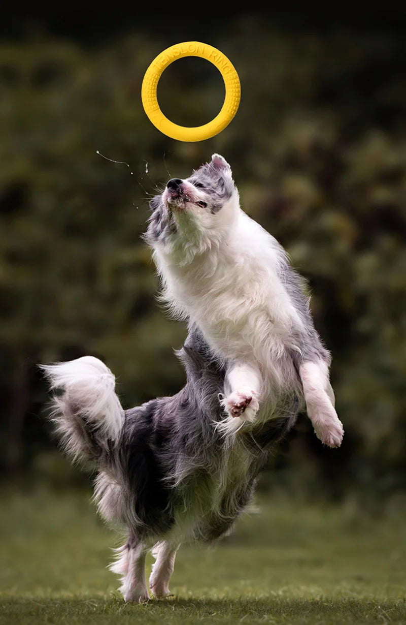TPR Pet Dog Toys Interactive Pet Toys for Small Large Dogs Funny Puppy Flying Disk Toy Bite-resistant Dog Training Toys