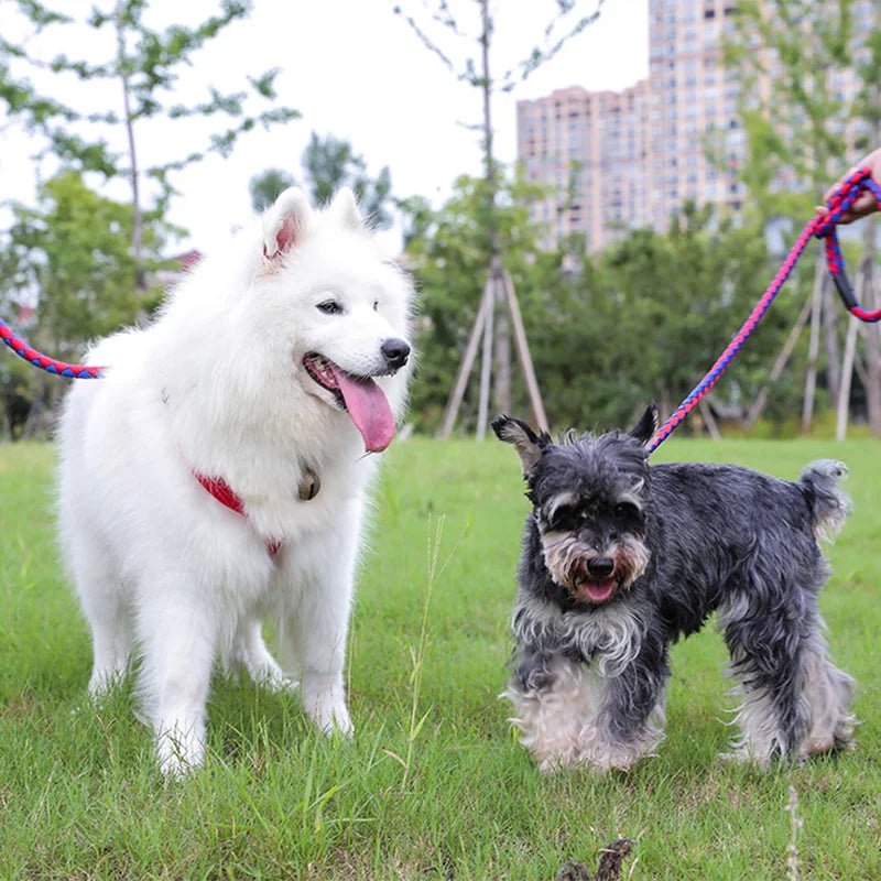 Three-piece Set Pet Collar Harness High Quality Nylon Collar for Dog Pet Adjustable Durable Pet Collar for Small Medium Dog