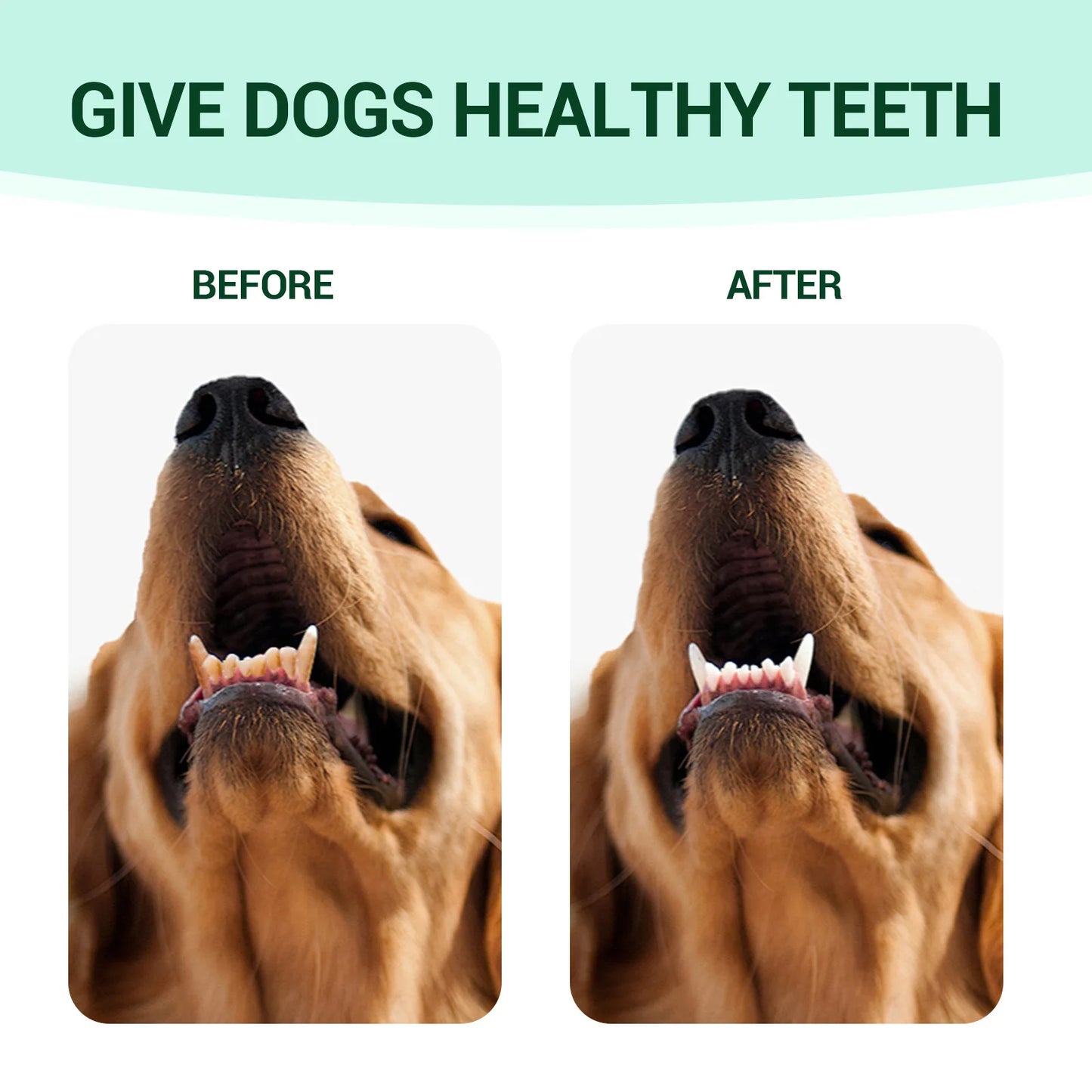 Pet Oral Cleaning Gel Bad Breath Tartar Eliminator Plaque Removal Oral Tooth Stain Deodorant Whiten Teeth Cat Teeth Repair Gel