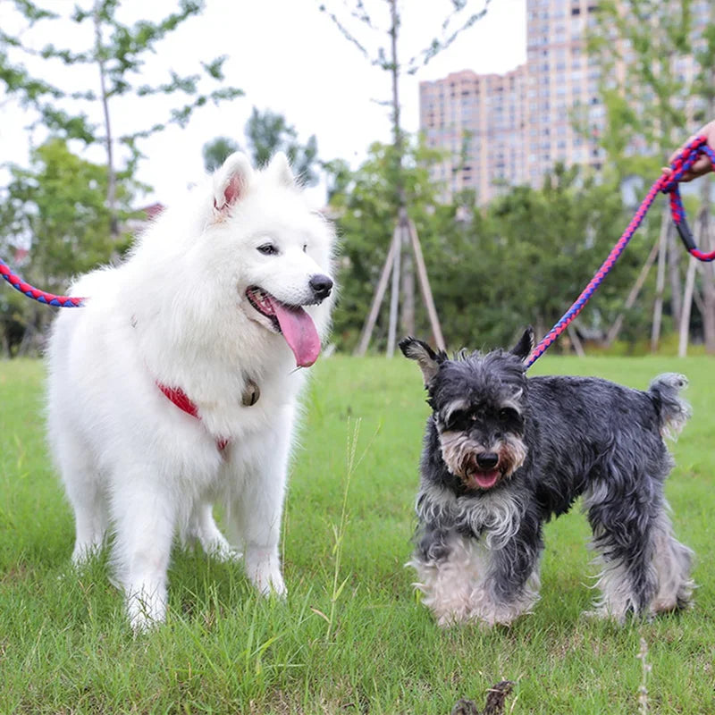 Three-piece Set Pet Collar Harness High Quality Nylon Collar for Dog Pet Adjustable Durable Pet Collar for Small Medium Dog