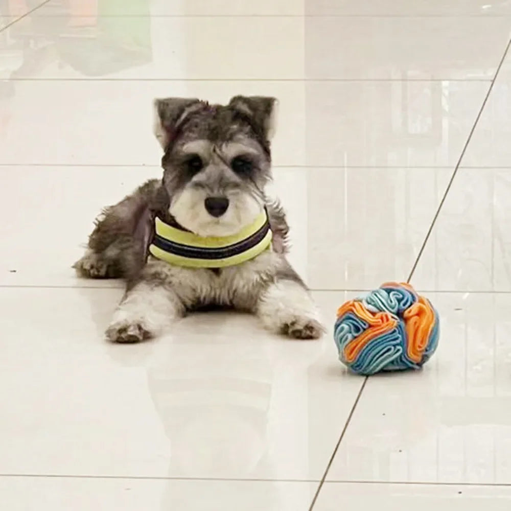 Dog Sniffing Ball Puzzle Toys Increase IQ Slow Dispensing Feeder Foldable Dog Nose Sniff Toy Pet Training Games Intelligence Toy