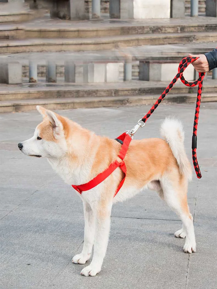 Three-piece Set Pet Collar Harness High Quality Nylon Collar for Dog Pet Adjustable Durable Pet Collar for Small Medium Dog