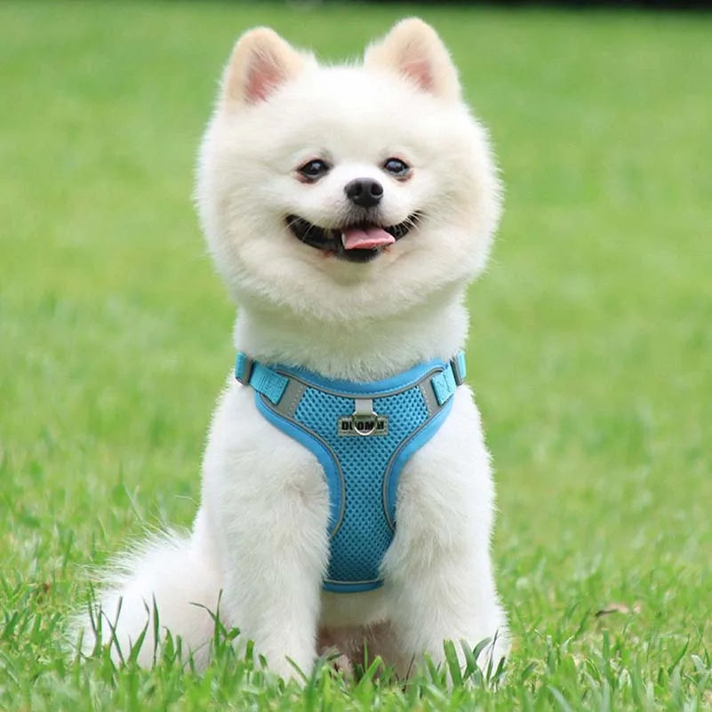 Dog Harness Clothes Vest for Small Medium Dogs Harness Leash Set Puppy Chest Strap Chihuahua Bulldog Walking Straps Pet Supplies