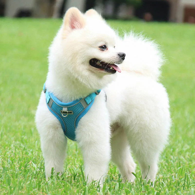 Dog Harness Clothes Vest for Small Medium Dogs Harness Leash Set Puppy Chest Strap Chihuahua Bulldog Walking Straps Pet Supplies