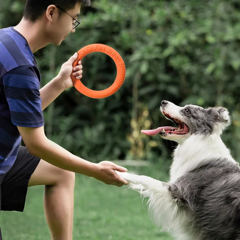 TPR Pet Dog Toys Interactive Pet Toys for Small Large Dogs Funny Puppy Flying Disk Toy Bite-resistant Dog Training Toys