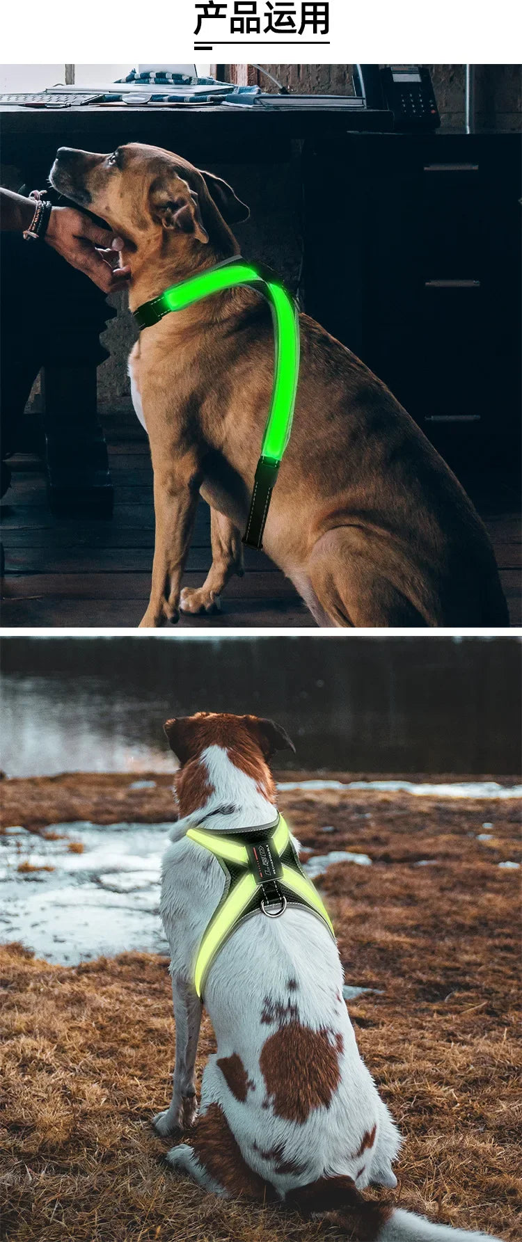 Pet Supplies Explosion-Proof Flush Dog Traction 8 Gears Color Changing Led Light Dog Chest Braces Dog Clothes Pet Collars