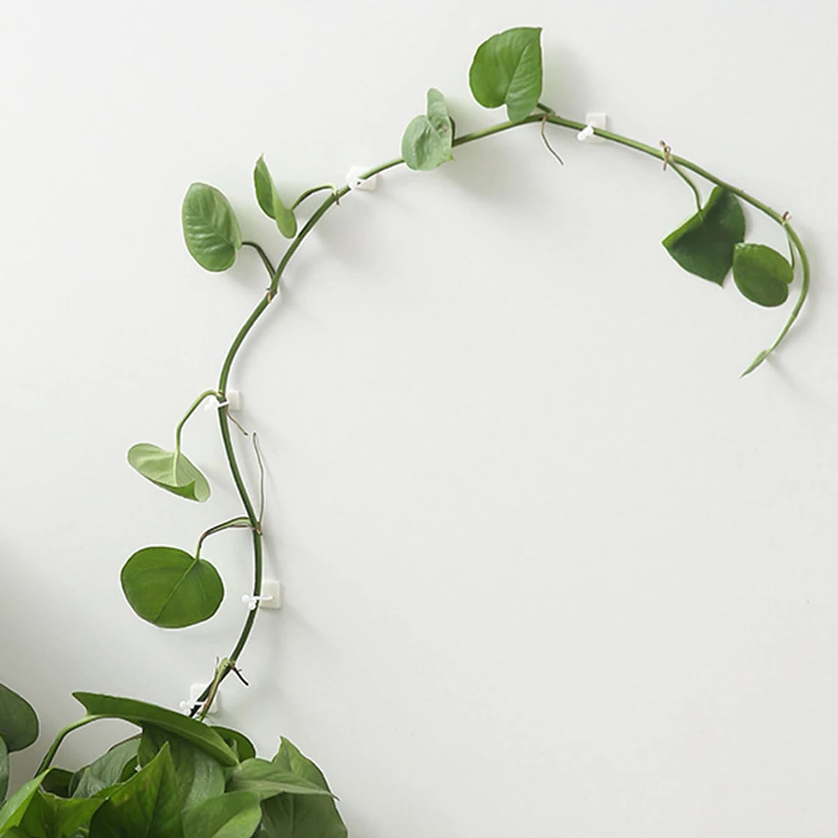 Garden Trellis Plant Iron Climbing Plant Support With Black Rust Proof Coating For Indoor Flower Vine Trellis For Decoration