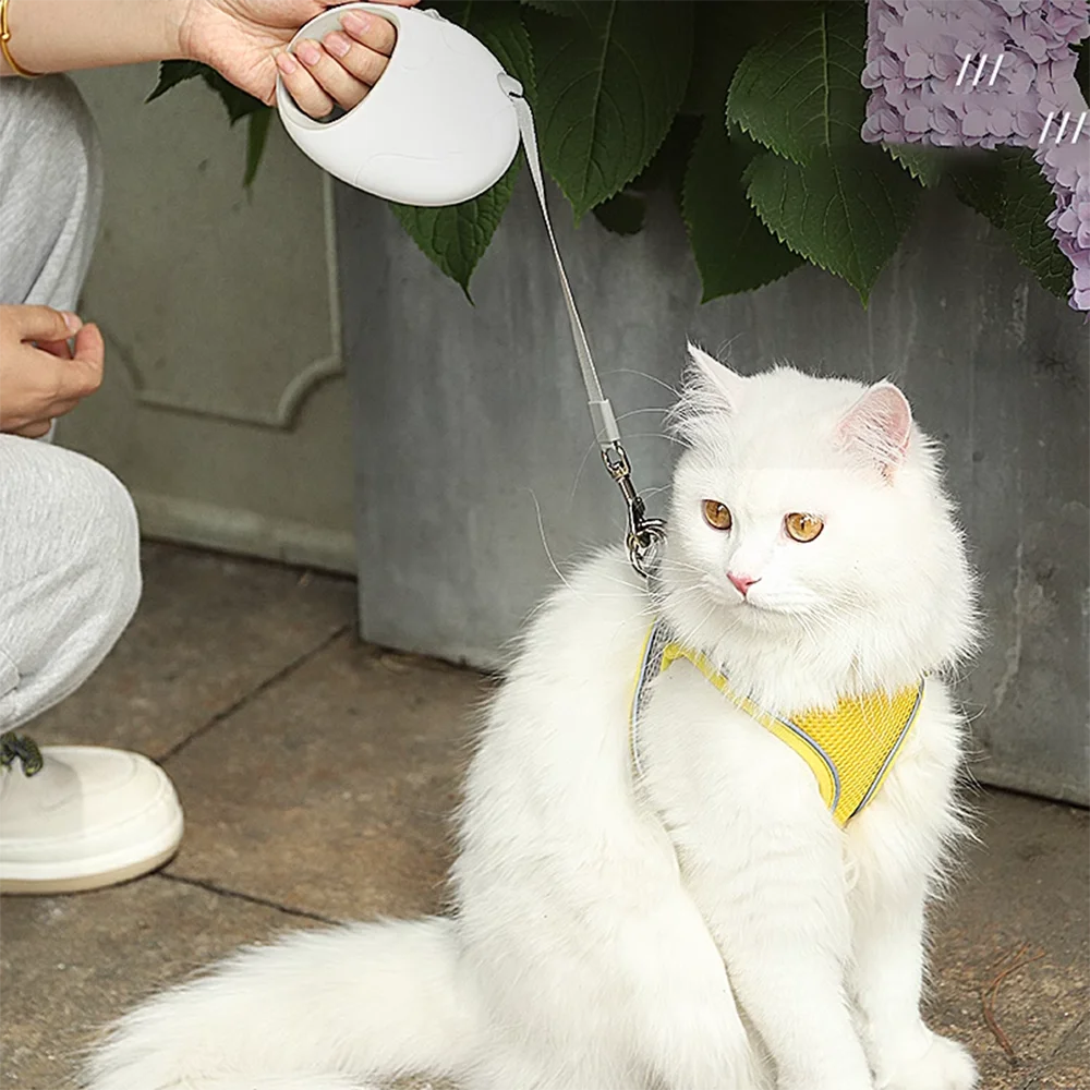 Durable Dog Leash