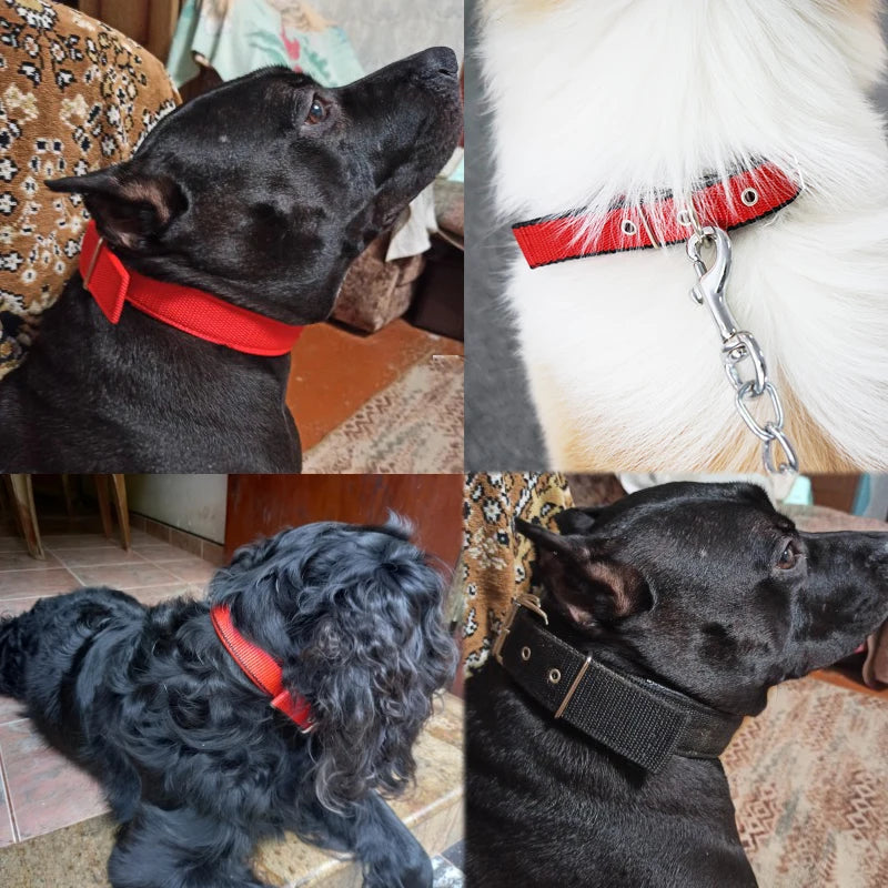 Three-piece Set Pet Collar Harness High Quality Nylon Collar for Dog Pet Adjustable Durable Pet Collar for Small Medium Dog