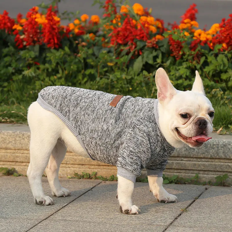 Dog Sweaters for Small Medium Dogs Cats Clothes Winter Warm Pet Turtleneck Chihuahua Vest Soft Yorkie Coat Teddy Jacket Sweaters