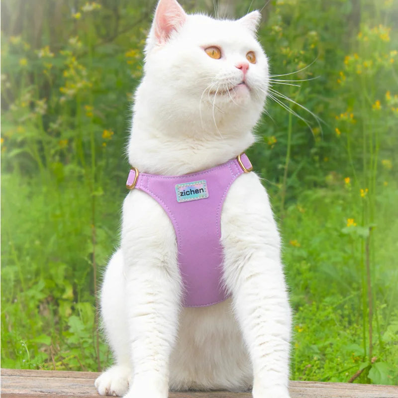 Puppy Cat Harness with Leash Waffle Pet Vest Clothes for Small medium Dogs Cats Harness Collar Yorkshire Dog Accessories