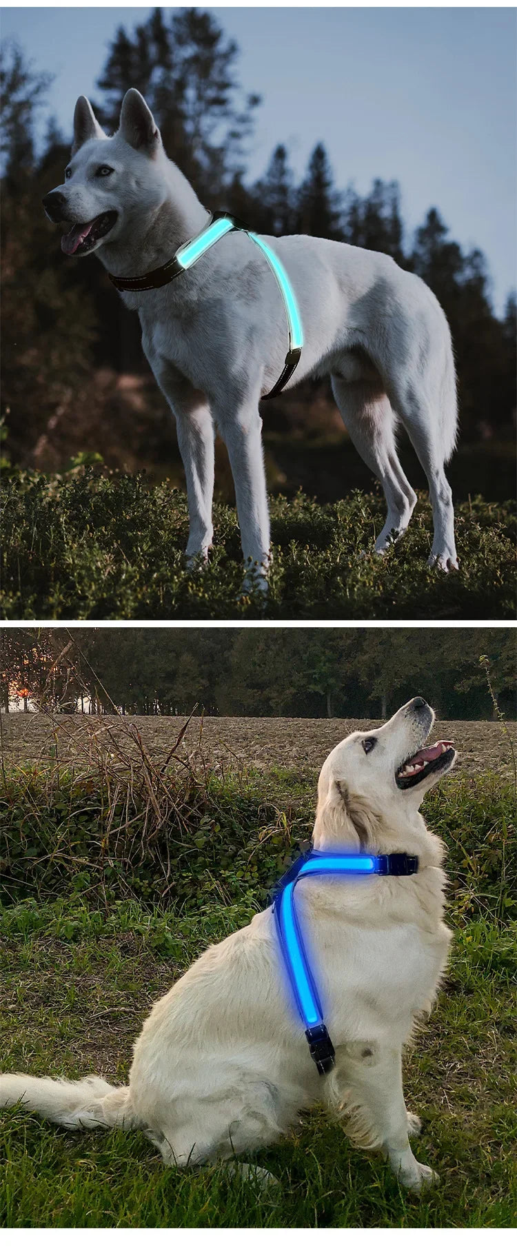 Pet Supplies Explosion-Proof Flush Dog Traction 8 Gears Color Changing Led Light Dog Chest Braces Dog Clothes Pet Collars