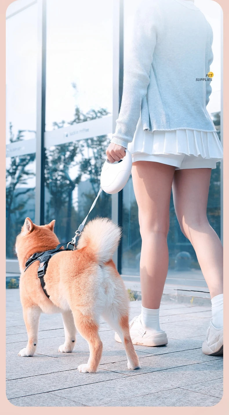 Durable Dog Leash