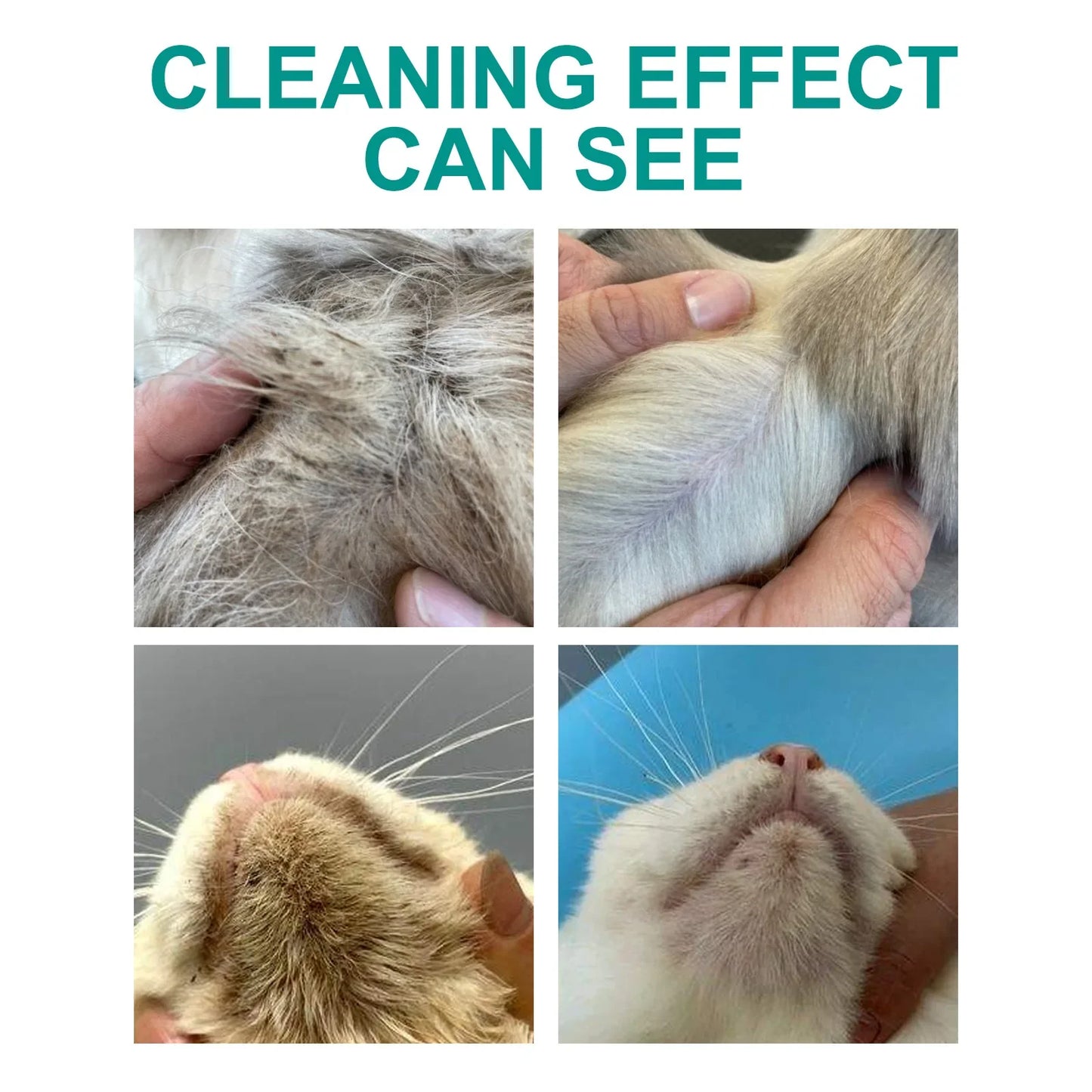Pet leave-in cleaning gloves Dog bath deodorant deodorant Cat Clean dry cleaning gloves