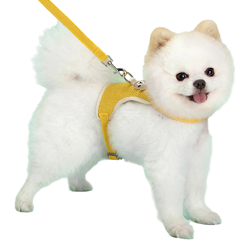 Cute Pet Harness Leash Set for Small Mid Dogs Cat