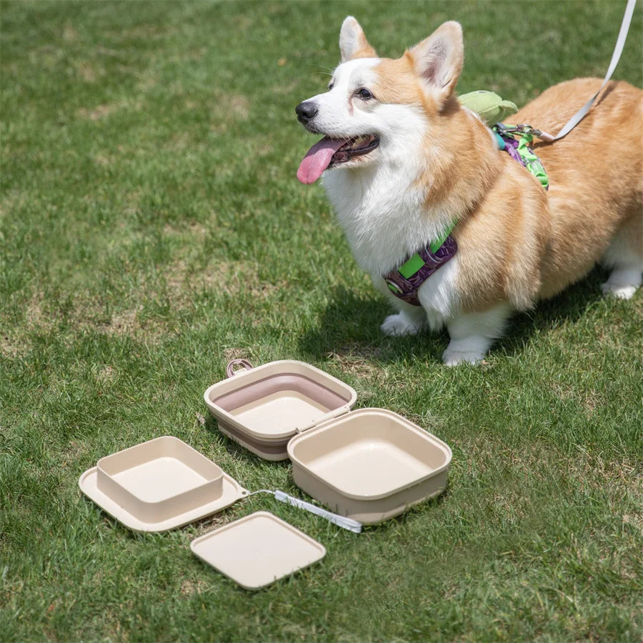 Madden Portable Double-decker Dog Travel Bowl For Cat Folding Bowl Food and Water Pet Outdoor Travel Supplies