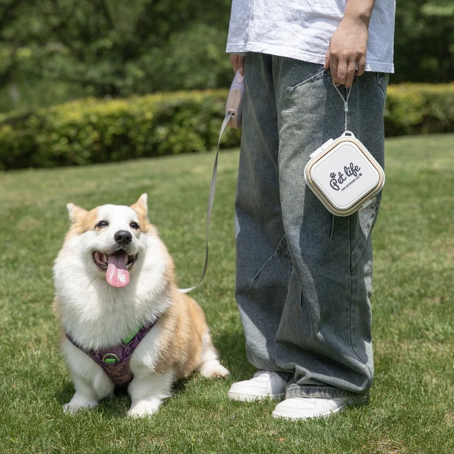 Madden Portable Double-decker Dog Travel Bowl For Cat Folding Bowl Food and Water Pet Outdoor Travel Supplies
