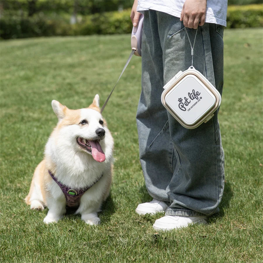 Madden Portable Double-decker Dog Travel Bowl For Cat Folding Bowl Food and Water Pet Outdoor Travel Supplies