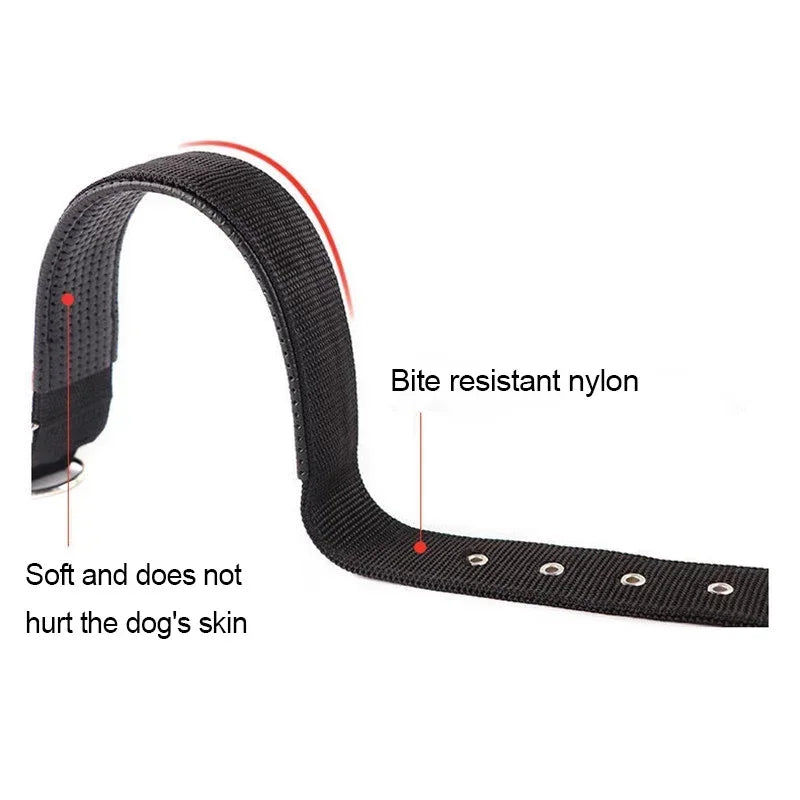 New Fashion Pet Dog Collar High Quality Nylon Collar for Dog Pet Adjustable Durable Pet Collar for Small Medium Large Dog