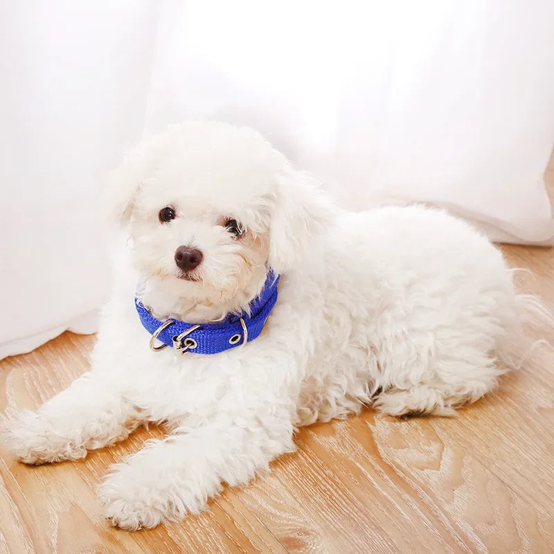 New Fashion Pet Dog Collar High Quality Nylon Collar for Dog Pet Adjustable Durable Pet Collar for Small Medium Large Dog