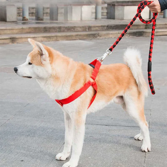 Three-piece Set Pet Collar Harness High Quality Nylon Collar for Dog Pet Adjustable Durable Pet Collar for Small Medium Dog