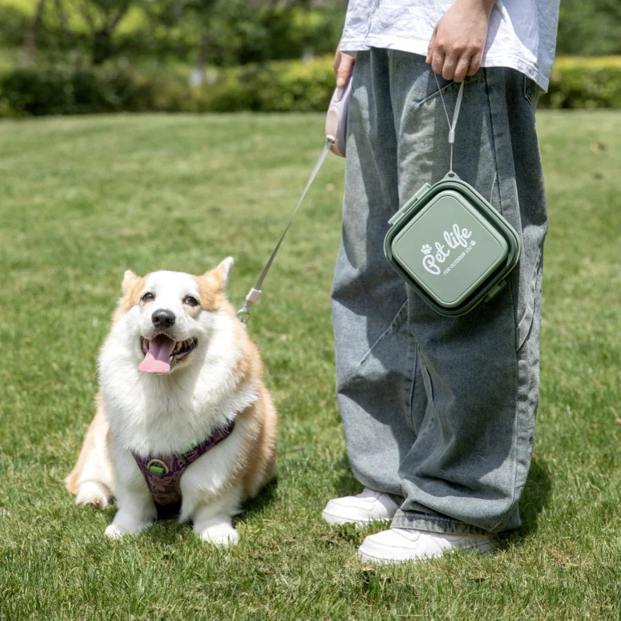 Madden Portable Double-decker Dog Travel Bowl For Cat Folding Bowl Food and Water Pet Outdoor Travel Supplies